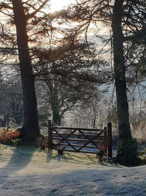 Holly Lodge Letterkenny Luaran gambar