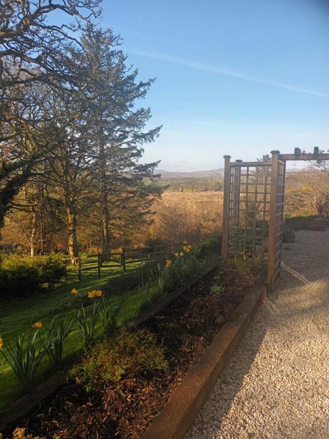 Holly Lodge Letterkenny Luaran gambar